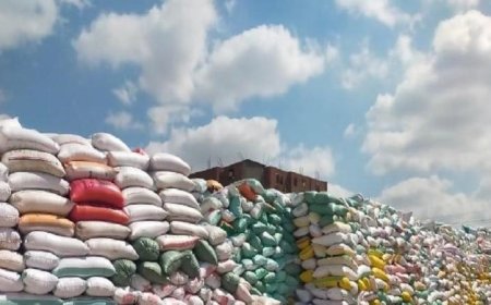 محافظة البحيرة تسجل توريد 19870 طن من القمح المحلي حتى صباح اليوم