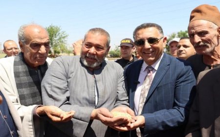 محافظ القليوبية يزور مدينة قها لمتابعة حصاد القمح موسم 2023