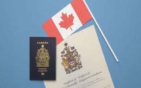 كندا تسهل إجراءات الحصول على الجنسية وتتيح الفرصة لملايين الأمريكيين لتحقيق حلمهم