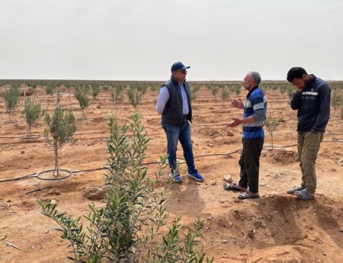 مركز بحوث الصحراء في وزارة الزراعة يرصد المحاصيل الاستراتيجية في سيناء قبل موسم الحصاد