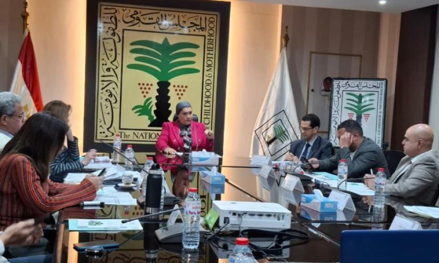 القومي للطفولة والأمومة يكشف عن جهوده الرامية لحماية الأطفال وتعزيز تمكين الفتيات في المجتمع