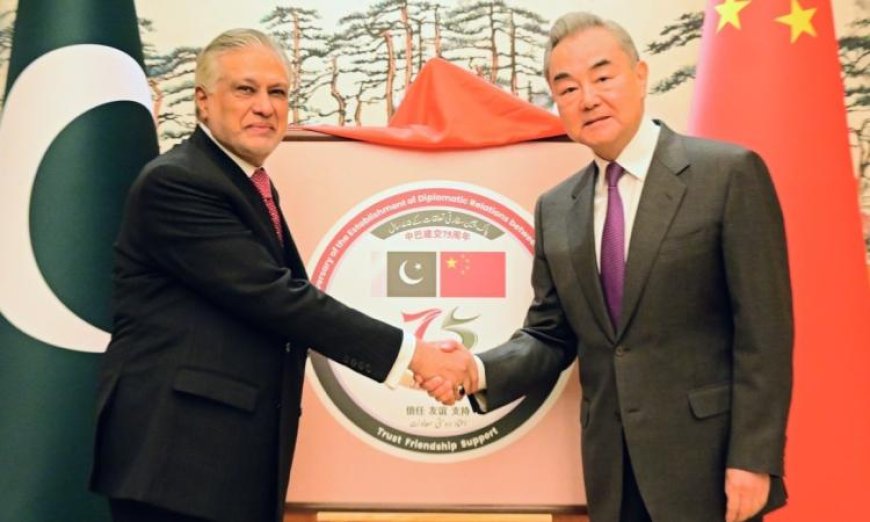 الصين تحث العالم على الانضمام لمبادرتها للسلام في الشرق الأوسط بالتعاون مع باكستان