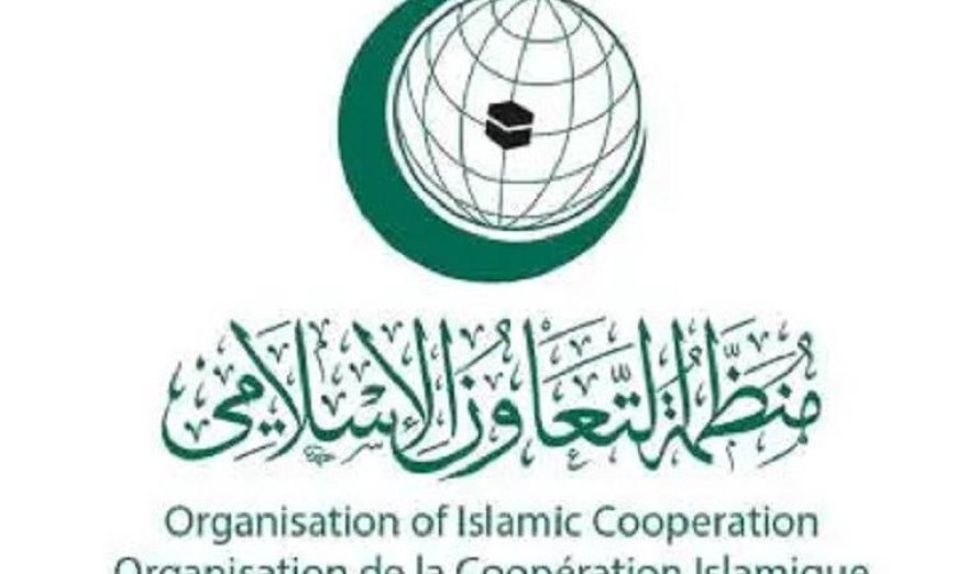 هيئة حقوق الإنسان في منظمة التعاون الإسلامي تندد بانتهاكات إسرائيل في القدس