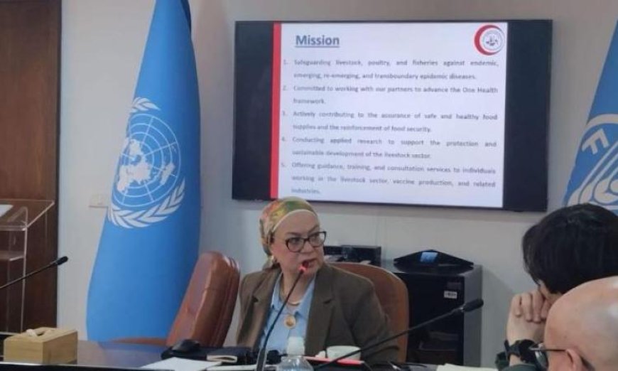 اجتماع هام بين الصحة الحيوانية وفاو لتعزيز دعم منظومة الرقابة الزراعية