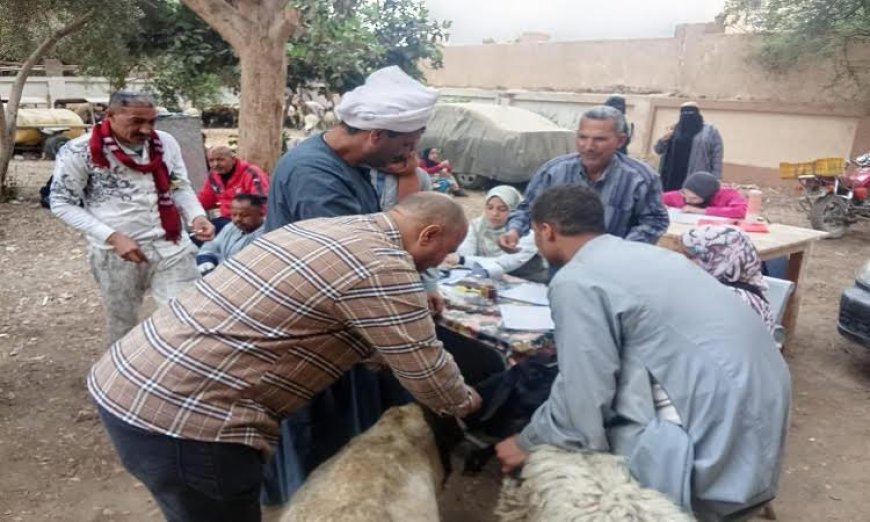 تسليم 298 رأس أغنام للمستفيدين من الطب البيطري بسوهاج في قرى المراغة وساقلتة