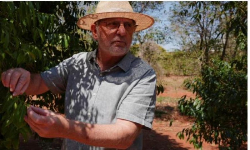 باحثون من البرازيل يبتكرون أصناف قهوة جديدة لمواجهة آثار التغير المناخي