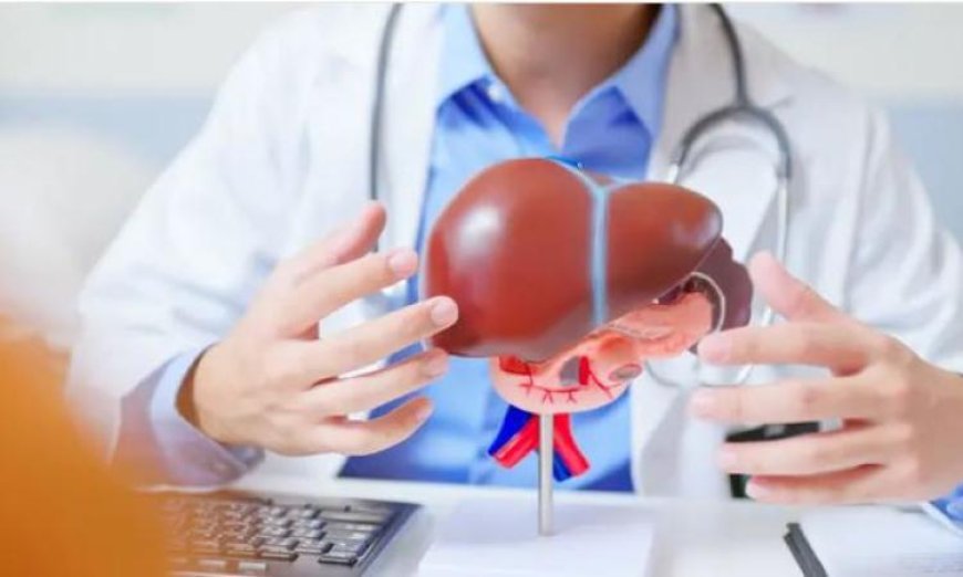 علماء روس يكشفون سر ضعف أورام الكبد من خلال نموذج خلوي ثلاثي الأبعاد