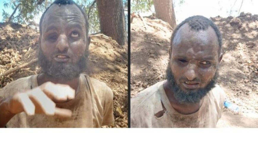 اعتقال قيادي بارز من حركة الشباب في محافظة شبيلي السفلي على يد الجيش الصومالي