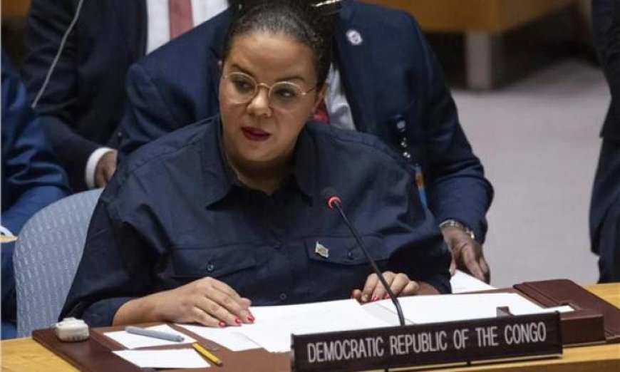 محادثات دبلوماسية مثمرة بين الكونغو الديمقراطية والولايات المتحدة لتعزيز جهود السلام