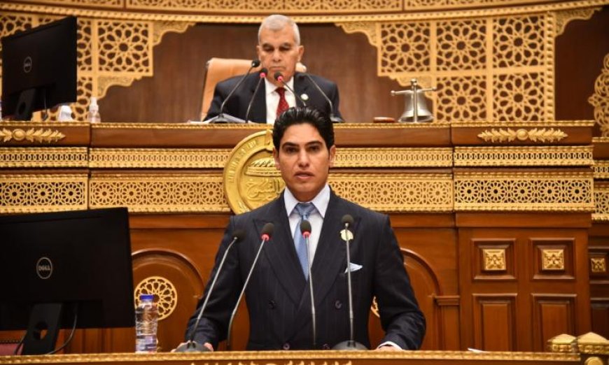 مجلس الشيوخ يستعرض مشروع قانون جديد لحماية المنافسة ومكافحة الممارسات الاحتكارية