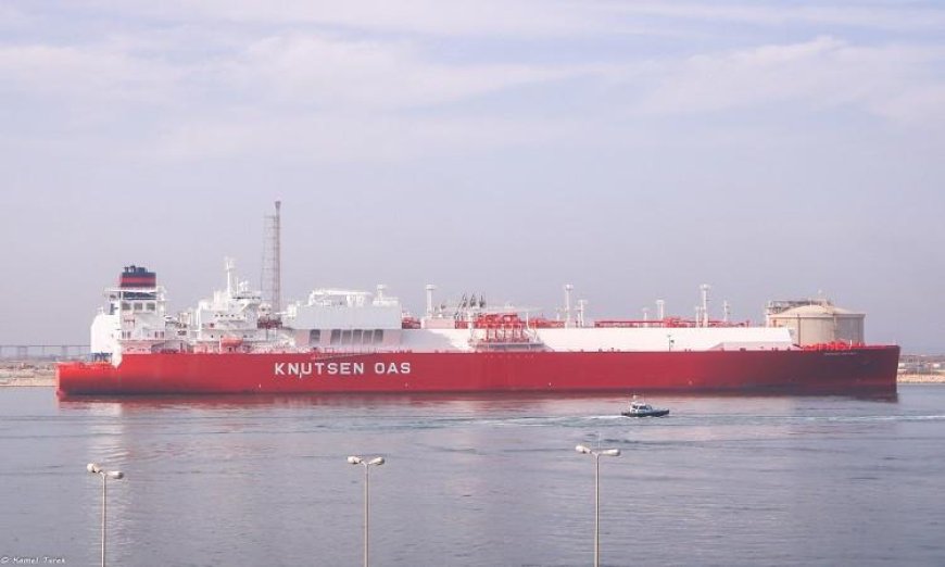 تعرف على تفاصيل تداول 27 سفينة حاويات وبضائع عامة في ميناء دمياط