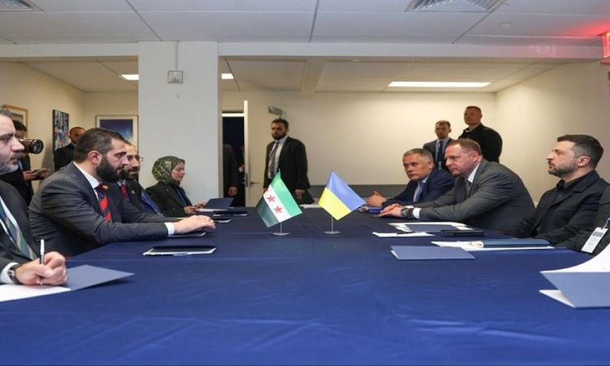 الرئيس الأوكراني يعلن استعداد بلاده للتعاون مع سوريا من أجل تنمية مستدامة لشعبي البلدين