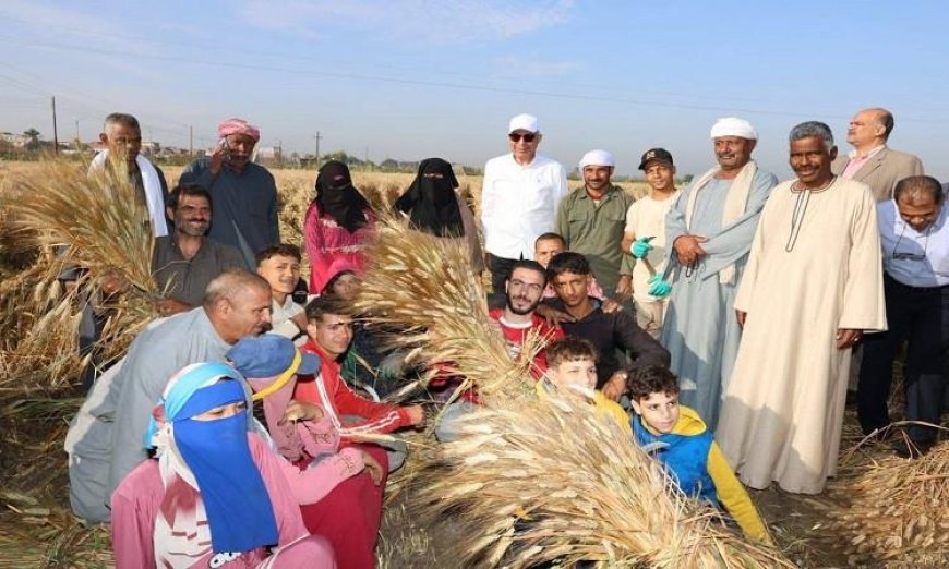 محافظ المنيا يعلن تجهيز 42 موقعًا لاستقبال القمح بسعة 465 ألف طن لتعزيز الاقتصاد المحلي