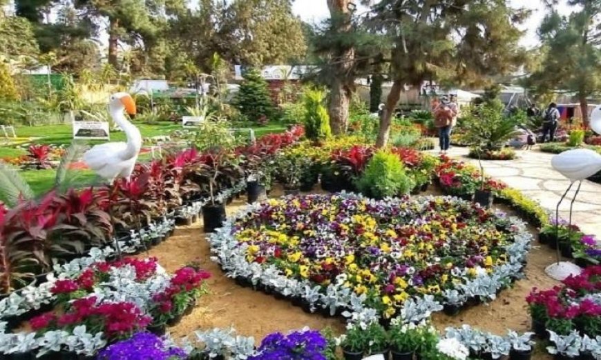افتتاح معرض زهور الربيع بالمتحف الزراعي يوم الأحد احتفالا بشم النسيم بانطلاقته الجزئية