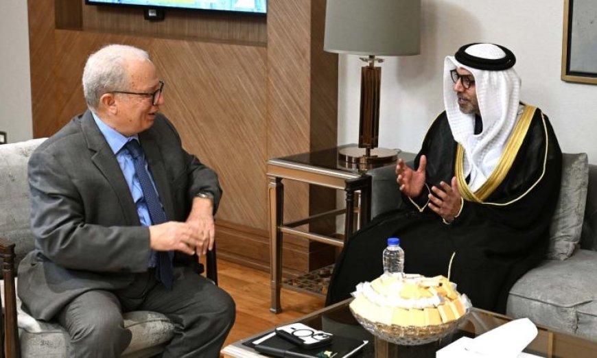 نائب رئيس الوزراء يبرز العلاقات القوية والمتميزة بين مصر والإمارات