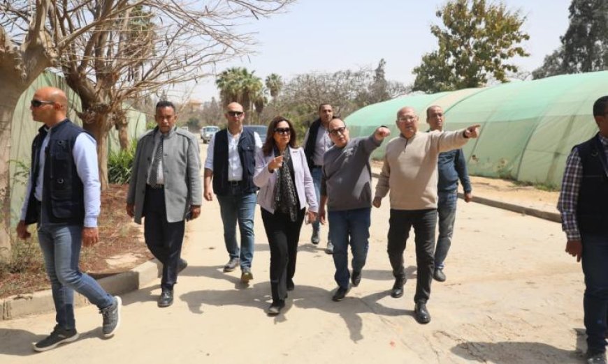 تطوير المشتل المركزي بالقاهرة الجديدة بقيادة د منال عوض لزيادة الإنتاج وتعزيز جهود التشجير