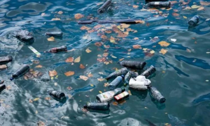 رئيس الرأس الأخضر يطلق دعوة قوية لـ 20 دولة أفريقية لتعزيز التعاون لحماية البيئة البحرية