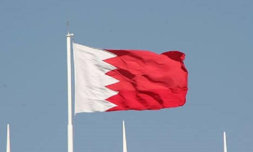 دفاع البحرين يعلن عن إسقاط وتدمير 9 طائرات مسيرة في غضون 24 ساعة