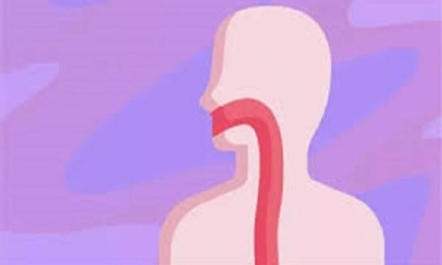 مريء معملي مبتكر ينمو مع الجسم لتحقيق النجاح في الزراعة الطبية