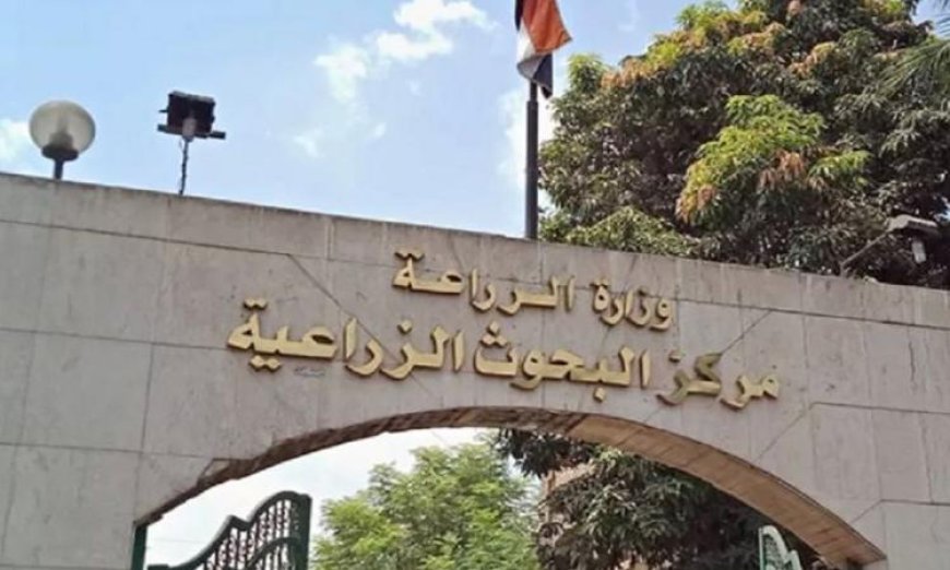 تحليل 111 ألف عينة غذائية في الربع الأول من 2026 يعكس جهود وزارة الزراعة لتعزيز سلامة الغذاء