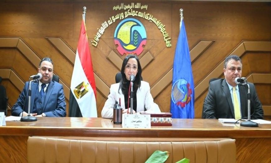 محافظ البحيرة يدعو لتحسين كفاءة المشروعات الخدمية وزيادة مواردها الاقتصادية