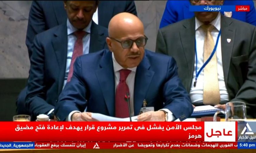 مجلس الأمن يخفق في اعتماد قرار لإعادة فتح مضيق هرمز الحيوي