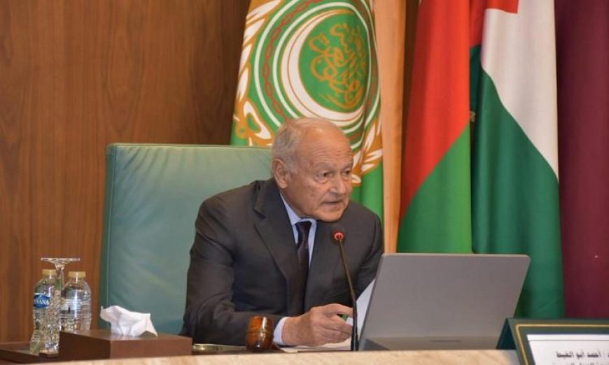 أبو الغيط يعبر عن أسفه لعرقلة قرار مجلس الأمن بشأن حرية الملاحة في مضيق هرمز