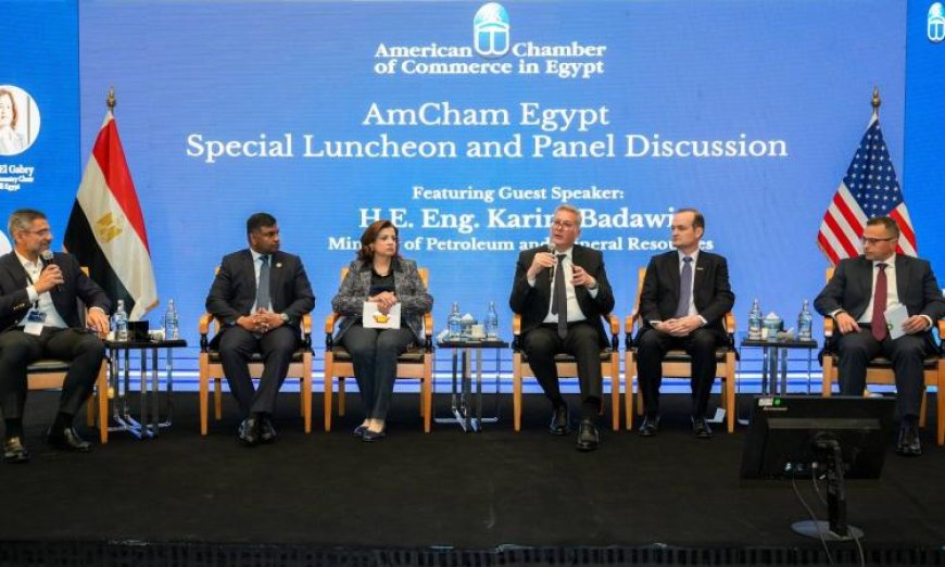 بدوي يؤكد أن المحفزات أدت إلى إنعاش استثمارات الغاز والبترول في البحث والإنتاج