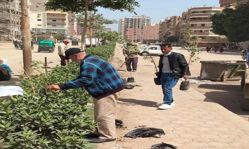 زراعة 210 شتلات متنوعة في مطاي وبني مزار بالمنيا لتعزيز التنوع البيئي