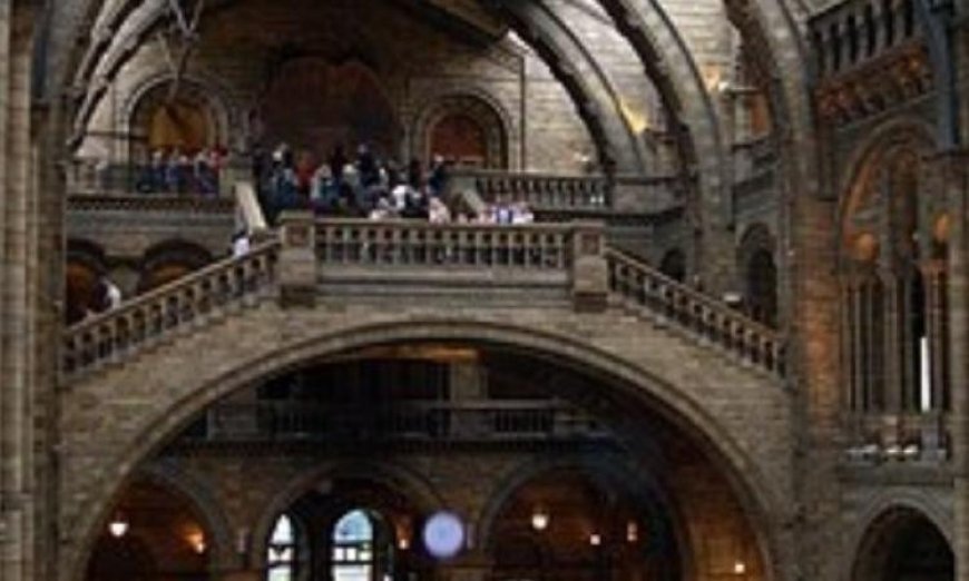 اكتشاف قلادة سن فقمة يكشف أسرار حياة البشر في بريطانيا قبل 15 ألف عام