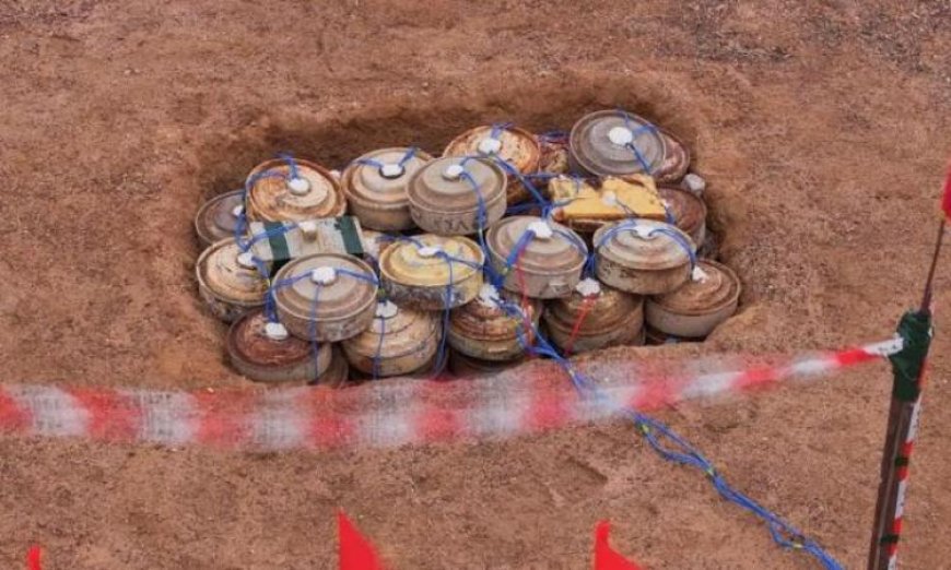 مشروع مسام يدمر 4925 قطعة من الألغام والمخلفات الحربية في باب المندب