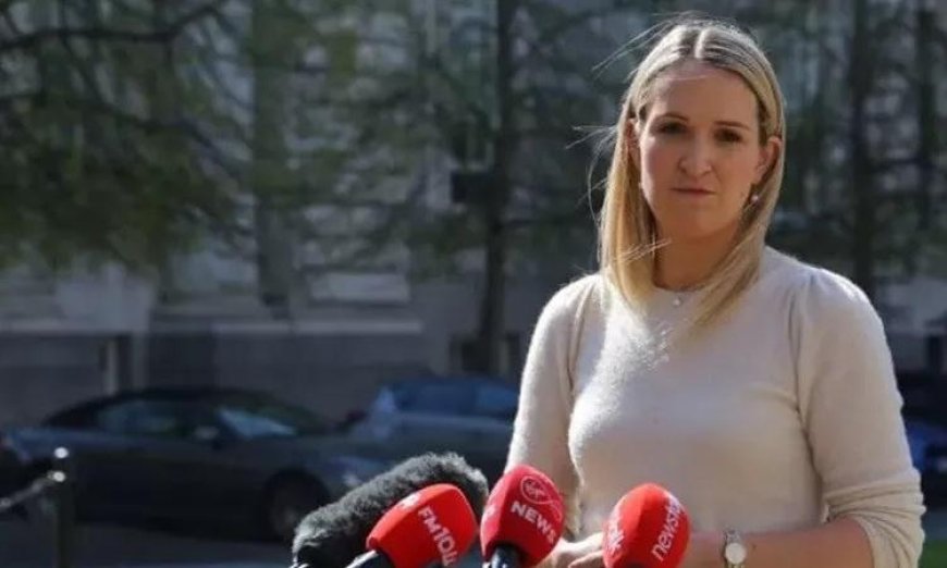 وزيرة خارجية أيرلندا تؤكد على التضامن الأوروبي لوقف التصعيد في لبنان