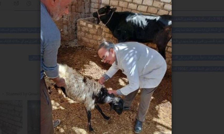 وزارة الزراعة تحصن 2.1 مليون رأس ماشية لحمايتها من الجلد العقدي وجدري الأغنام