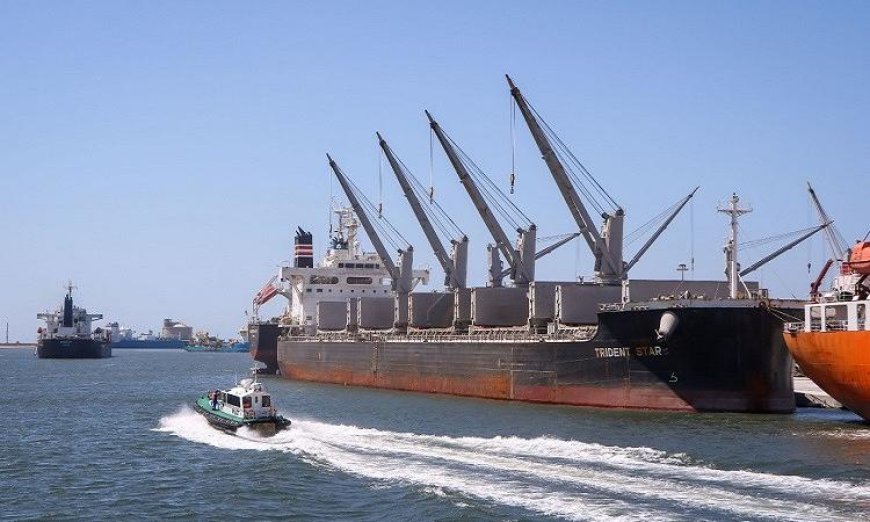 تداول 28 سفينة حاويات وبضائع عامة في ميناء دمياط خلال 24 ساعة