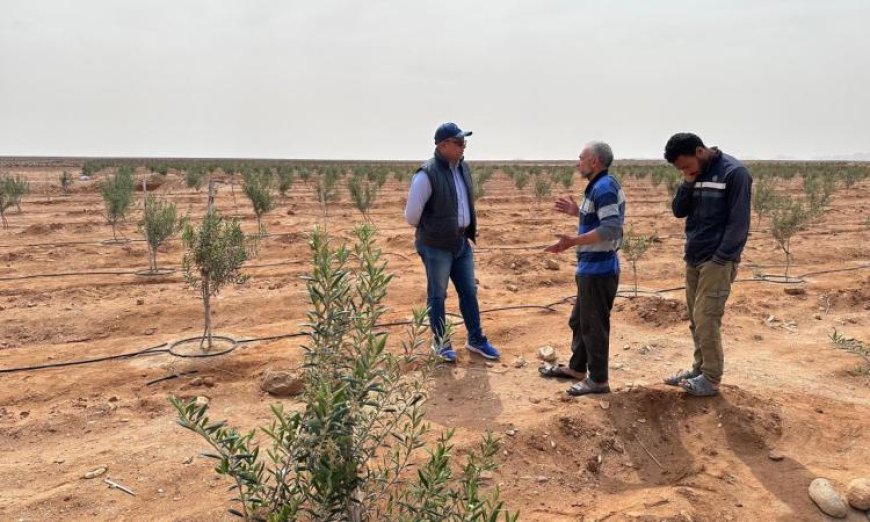 مركز بحوث الصحراء في وزارة الزراعة يرصد المحاصيل الاستراتيجية في سيناء قبل موسم الحصاد