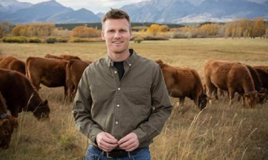 أطواق شمسية ذكية ثورية لتحسين إدارة الماشية