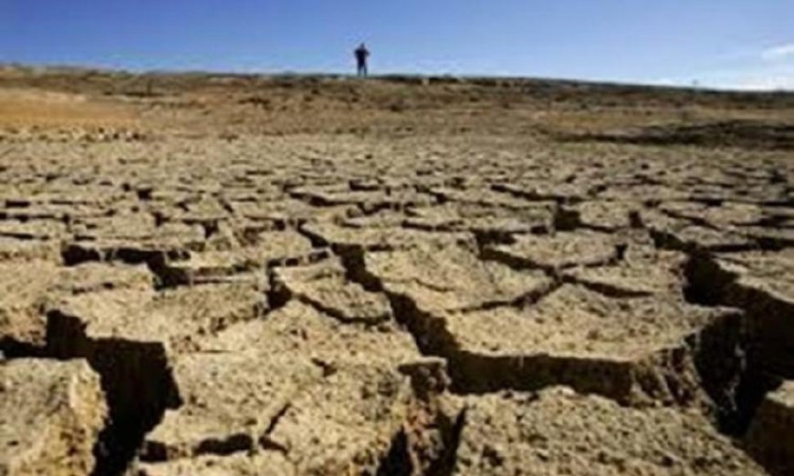 دراسة جديدة تكشف علاقة الجفاف بتسريع مقاومة البكتيريا للمضادات الحيوية