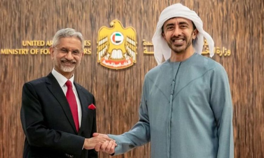 الإمارات والهند تناقشان تطورات الأوضاع في المنطقة لتعزيز التعاون الثنائي