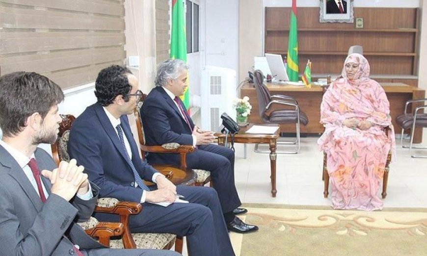 سفير مصر في نواكشوط يلتقي وزيرة الإسكان الموريتانية قبيل زيارتها لمصر