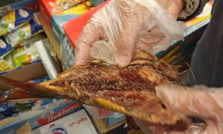 الزراعة تكشف عن ضبط 71 طن من الأسماك المملحة الفاسدة قبل احتفالات شم النسيم