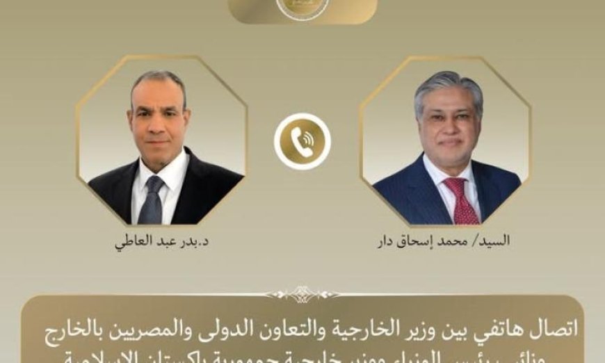 وزير خارجية مصر ووزير خارجية باكستان يتباحثان حول تطورات الوضع الإقليمي الراهنة