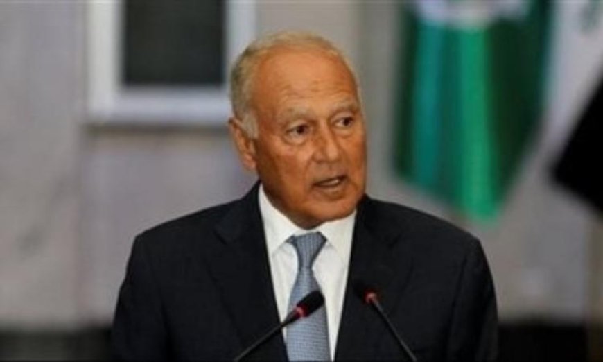 أبو الغيط يعزز التعاون مع الرئيس عمر جيلة لتعزيز استقرار جيبوتي