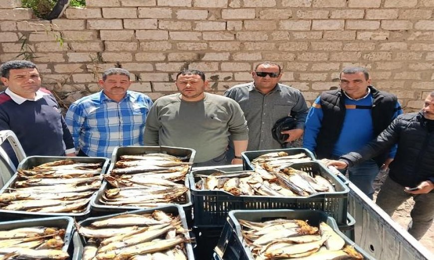 حملات رقابة مكثفة من بيطري البحيرة لضمان سلامة الأسواق ومحلات بيع الأسماك