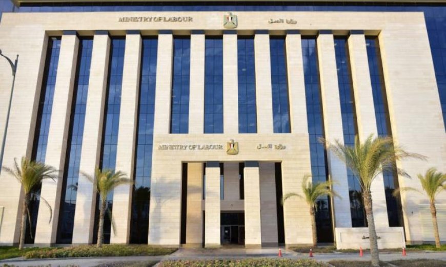 العمل تكشف عن إجراء تفتيش على 59 ألف منشأة تضم 743 ألف عامل خلال 90 يومًا