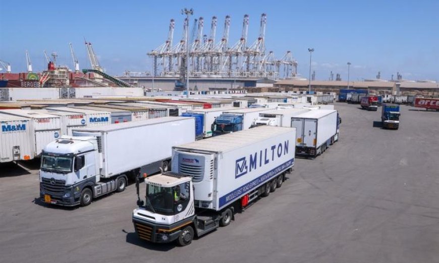 زيادة تدفق شحنات الترانزيت عبر خط الرورو في ميناء دمياط