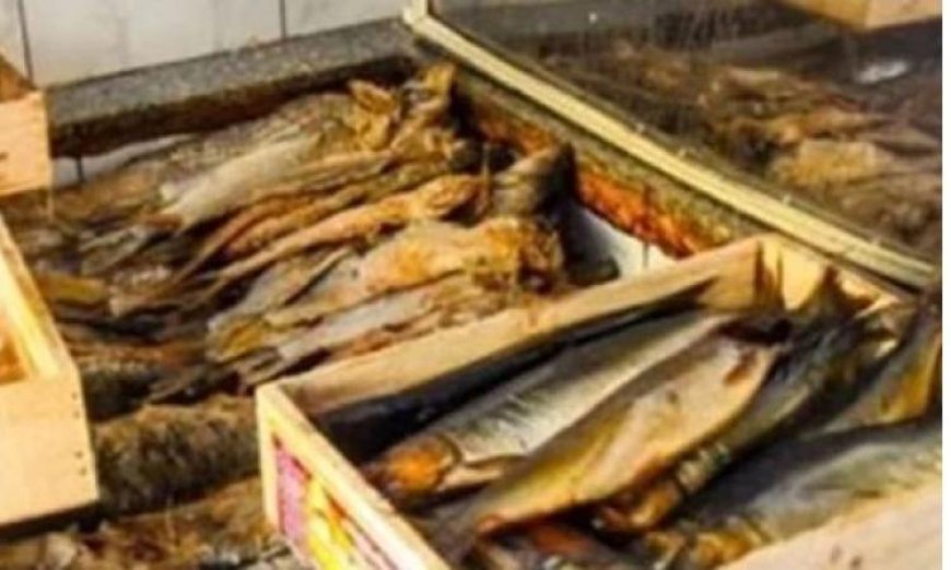 إحباط تهريب 14 طن من الأسماك المدخنة والمملحة المجهولة المصدر في القاهرة والدقهلية والغربية
