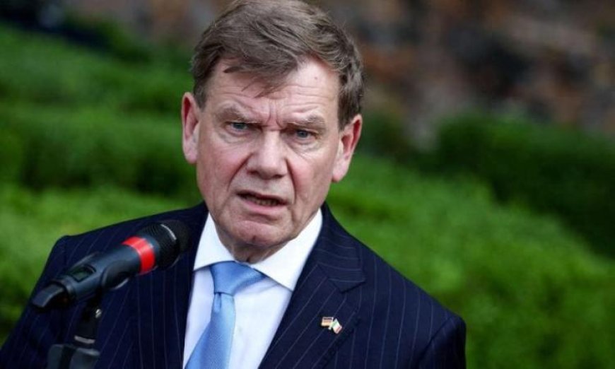 وزير الخارجية الألماني يشدد على أهمية الحفاظ على حرية الحركة في مضيق هرمز