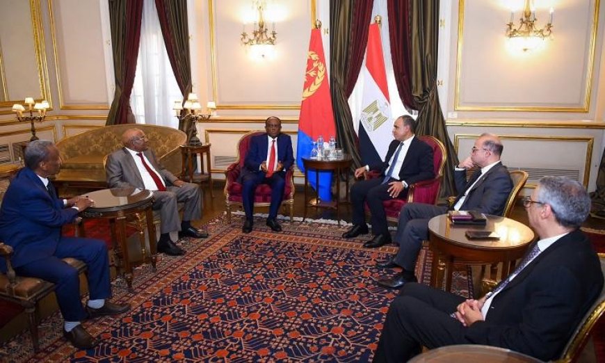 وزير الخارجية المصري يعبر عن الدعم القوي لسيادة إريتريا ووحدة أراضيها