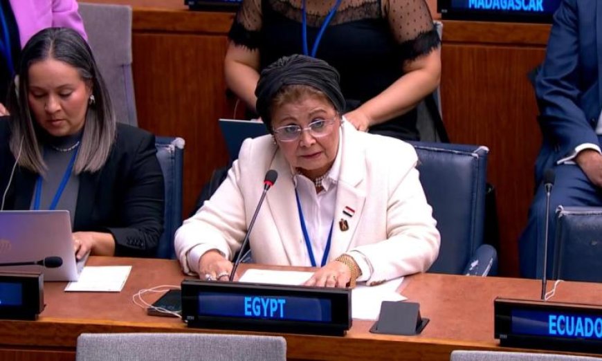 نائب وزير الصحة يقدم بيان مصر في لجنة السكان والتنمية بالأمم المتحدة