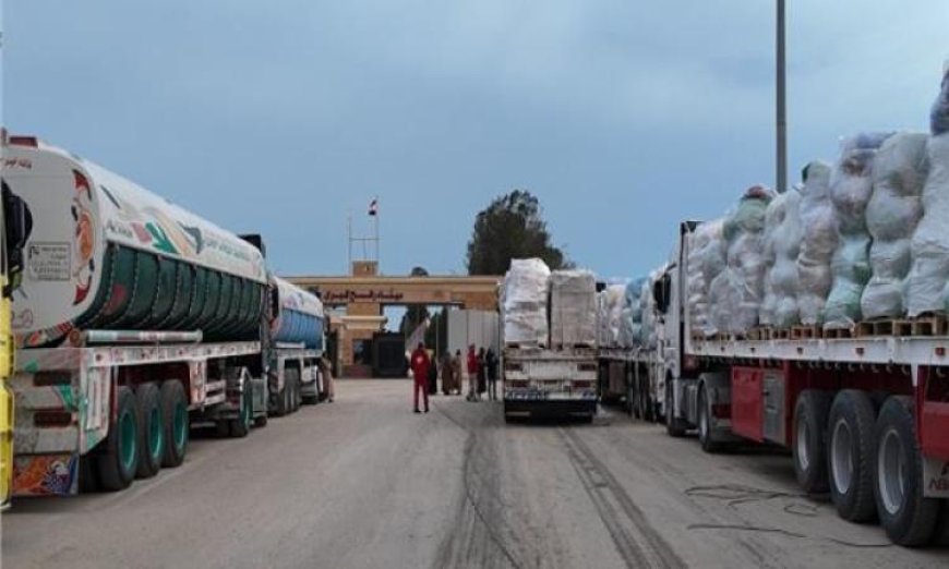قافلة زاد العزة 176 تصل قطاع غزة لتقديم الدعم للفلسطينيين